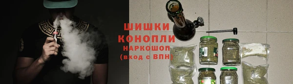 ГАЛЛЮЦИНОГЕННЫЕ ГРИБЫ Алексин