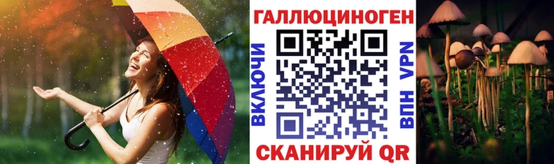 Псилоцибиновые грибы Cubensis  Ивдель 